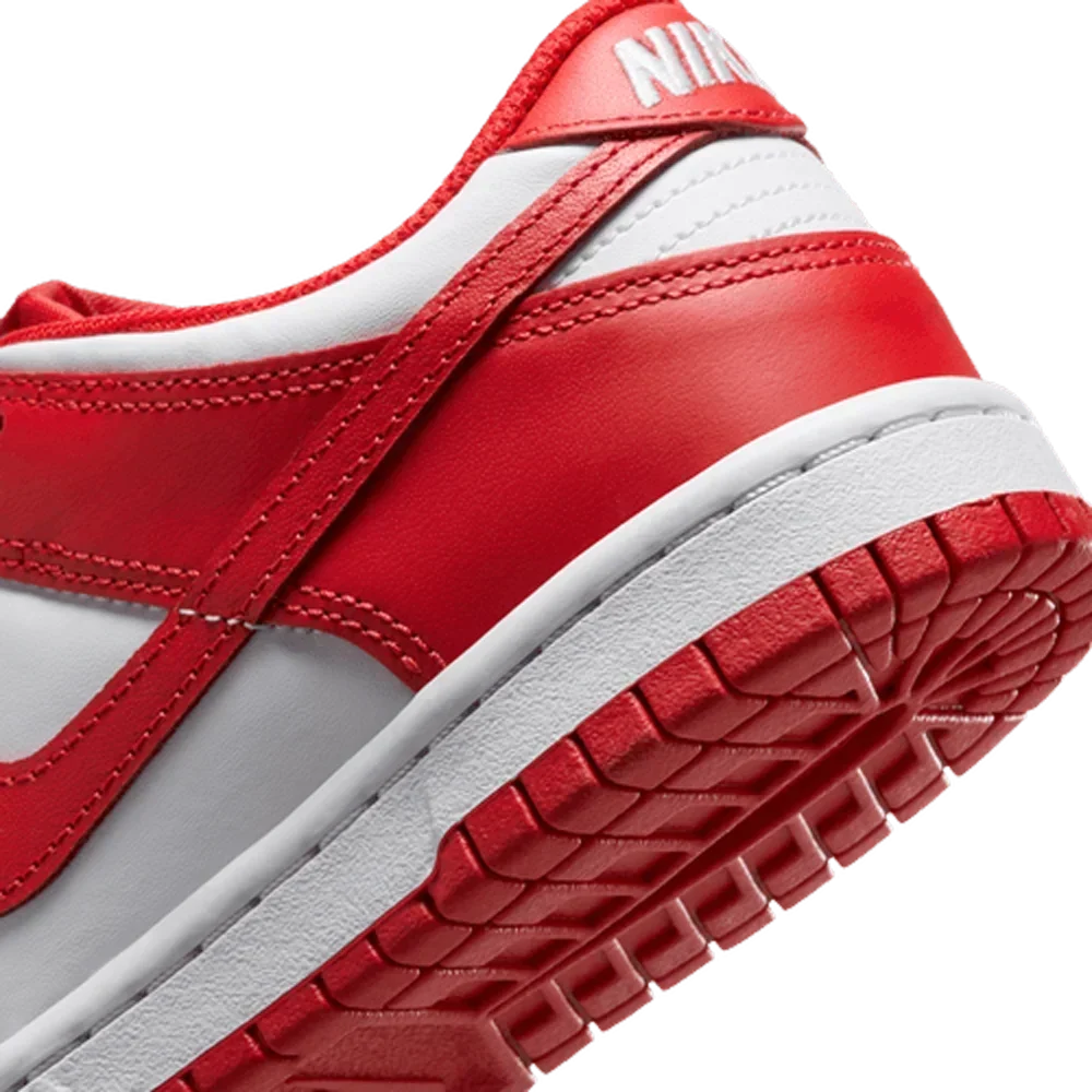Nike Big Kids Dunk Low Shoes